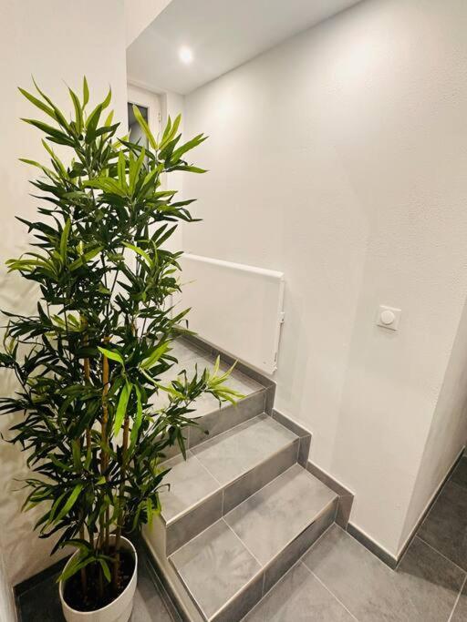 Apartment Superbe Maison A Proximite Du Centre De Strasbourg Bischheim