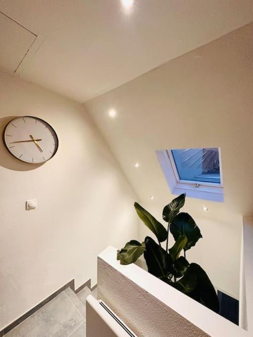 Appartement Superbe Maison A Proximite Du Centre De Strasbourg